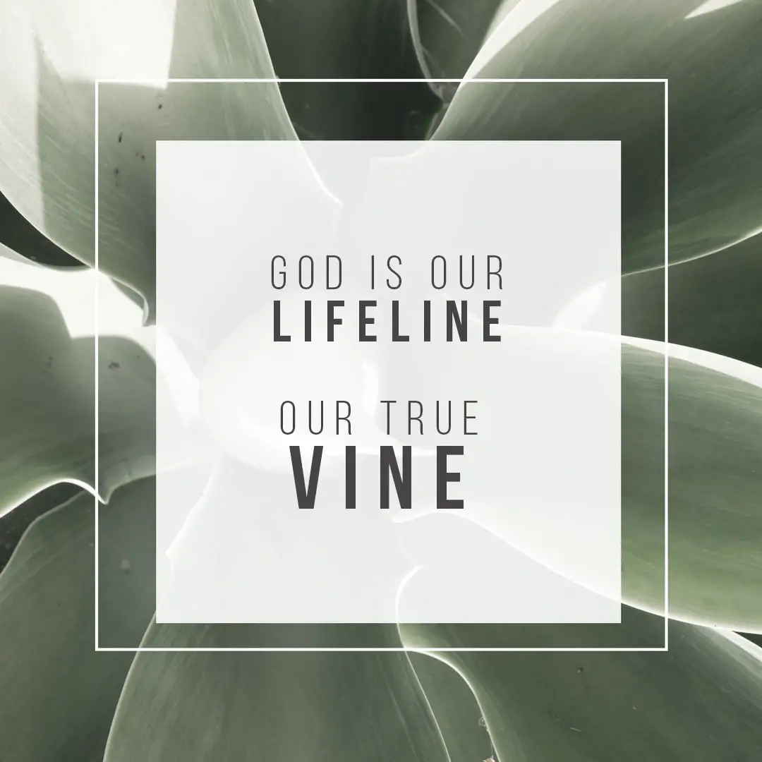 God our true vine