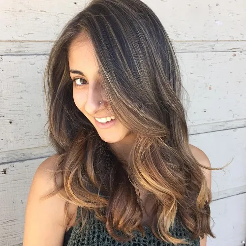 Brown Hair with Highlights