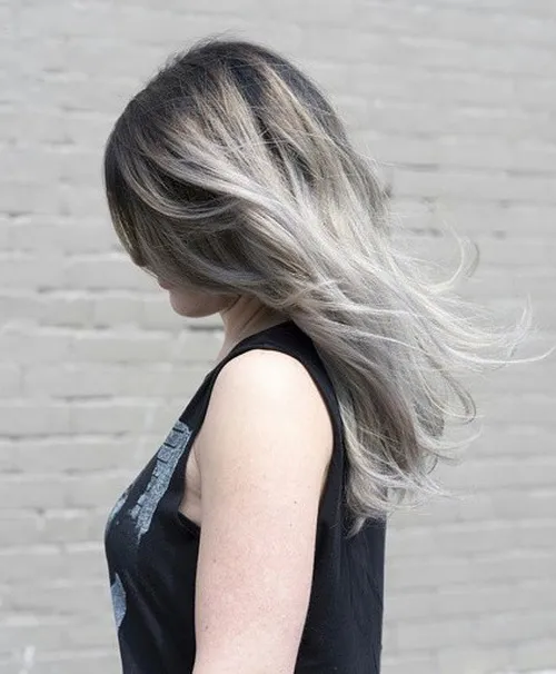 DARK ROOTS WITH DUSTY SILVER ENDS